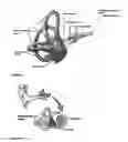 Fig. 07 - VESTIBULAR STIMULATION SYSTEMS AND METHODS OF USE