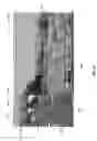 Fig. 14 - Media streaming methods, apparatus and systems