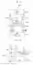 Fig. 04 - Display device and method of detecting deterioration of the same