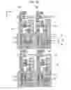 Fig. 19 - Organic electroluminescent device and electronic apparatus