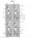 Fig. 27 - Organic electroluminescent device and electronic apparatus