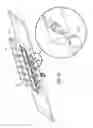 Fig. 16 - Stringed instrument system