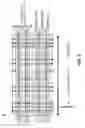 Fig. 04 - Three-port bit cell having increased width