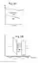 Fig. 11 - Charge redistribution during erase in charge trapping memory