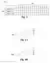 Fig. 06 - Nonconsecutive sensing of multilevel memory cells