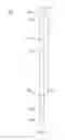 Fig. 05 - Wire for deep water transmission