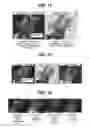 Fig. 10 - Electron microscope and sample observation method