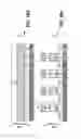 Fig. 29 - Vertical bit line non-volatile memory systems and methods of fabrication