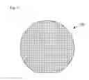 Fig. 08 - Method and apparatus for thinning wafer