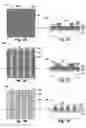 Fig. 05 - Double patterning method