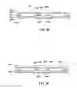 Fig. 11 - Embedded component package structure and method of manufacturing the same