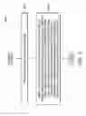 Fig. 06 - Invisible dummy features and method for forming the same