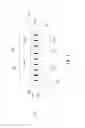 Fig. 04 - Packaging device having plural microstructures disposed proximate to die mounting region
