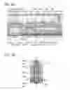 Fig. 10 - Semiconductor device having transistor and capacitor