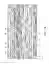 Fig. 19 - Semiconductor devices having gate stack portions that extend in a zigzag pattern
