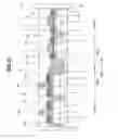 Fig. 14 - Semiconductor integrated circuit device comprising MISFETs in SOI and bulk subtrate regions