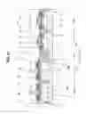 Fig. 32 - Semiconductor integrated circuit device comprising MISFETs in SOI and bulk subtrate regions