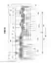 Fig. 33 - Semiconductor integrated circuit device comprising MISFETs in SOI and bulk subtrate regions