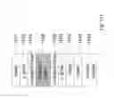 Fig. 40 - Semiconductor and optoelectronic methods and devices