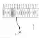 Fig. 41 - Semiconductor and optoelectronic methods and devices