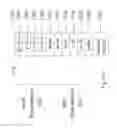 Fig. 62 - Semiconductor and optoelectronic methods and devices