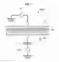 Fig. 02 - Manufacturing method of using hydrogen plasma processing on a semiconductor wafer