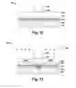 Fig. 08 - Process design to improve transistor variations and performance