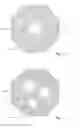 Fig. 04 - Light-emitting diode