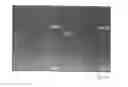 Fig. 04 - Method for manufacturing an organic electronic device and organic electronic device
