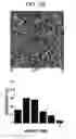 Fig. 05 - LIGHT EMTTING DEVICE USING GRAPHENE QUANTUM DOT AND PREPARING METHOD OF THE SAME