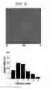 Fig. 06 - LIGHT EMTTING DEVICE USING GRAPHENE QUANTUM DOT AND PREPARING METHOD OF THE SAME
