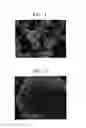 Fig. 02 - COMPOSITE POSITIVE ELECTRODE ACTIVE MATERIAL AND POSITIVE ELECTRODE AND LITHIUM BATTERY COMPRISING THE COMPOSITE POSITIVE ELECTRODE ACTIVE MATERIAL
