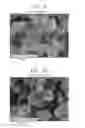 Fig. 07 - Non-aqueous electrolyte secondary battery