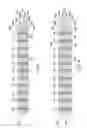 Fig. 07 - Gas vent for electrochemical cell