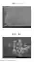Fig. 02 - Electrolyte membrane for energy storage device, energy storage device including the same, and method of preparing the electrolyte membrane for energy storage device