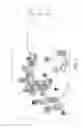Fig. 02 - Adjustable power divider and directional coupler