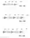 Fig. 12 - Lessening variations of spectral characteristic of an optical device