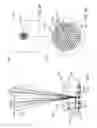 Fig. 09 - VCSEL based low coherence emitter for confocal 3D scanner