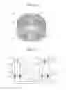 Fig. 09 - Armature for rotary electric machine
