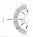 Fig. 13 - Rotary electric machine