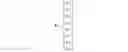 Fig. 14 - Displacement devices and methods for fabrication, use and control of same