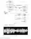 Fig. 15 - TERMINAL DEVICE AND AUDIO SIGNAL OUTPUT METHOD THEREOF
