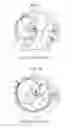 Fig. 06 - Resonance coupler and transmission device