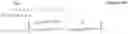 Fig. 463 - Precoding method, precoding device