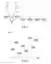 Fig. 02 - Method and apparatus for adaptive beam hopping in multi cell multi user communication system