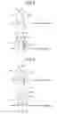 Fig. 08 - Optical transmission system and optical transmission device