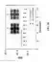 Fig. 20 - Recovering data from quadrature phase shift keying modulated optical signals