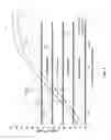 Fig. 09 - Adaptive linearizer