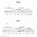 Fig. 06 - Operation method of communication node in network