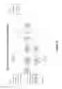 Fig. 15 - Packet delay variation in a packet switched network